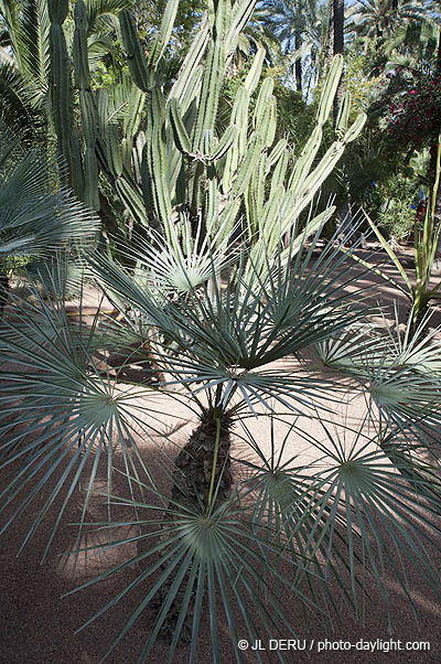 Marrakech